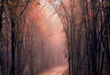 熊猫体育官方：迪马济奥：皇马今夏不会回购尼科-帕斯，科莫确信球员会留队.