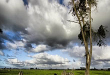 熊猫体育官方：迪马济奥：皇马今夏不会回购尼科-帕斯，科莫确信球员会留队.